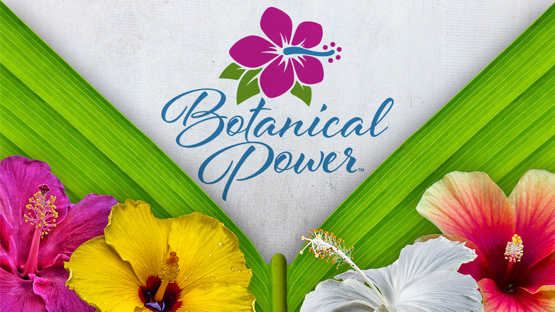 botanical power - hero image